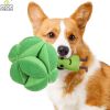 Snuffle Broccoli Dog Puzzle Toys Increase IQ Slow Dispensing Feeder Pet Cat Training Games Feeding Feeding Food Intelligence Toy