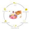 Interactive Cat Toy Ball Pets Cats Puzzle Spinning Track with Plush Balls Feather Teaser Kitten Toys Game Catnip Ball Toy